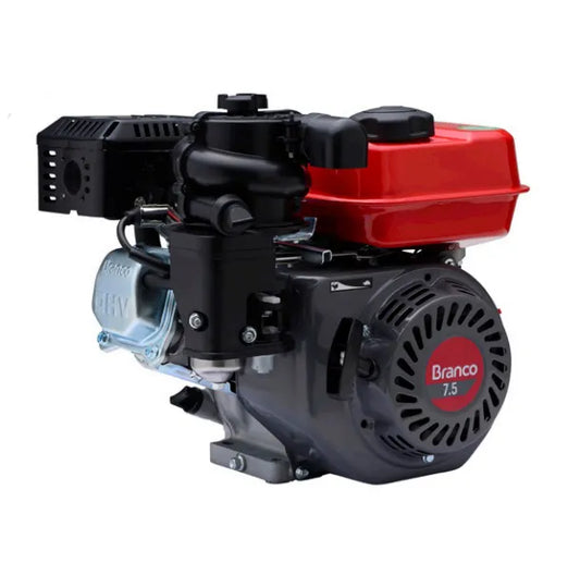 Motor Gasolina Branco B4T 7.5HP 4 Tempos Partida Manual Filtro Ciclônico